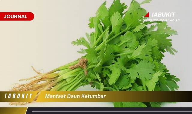 Inilah 10 Manfaat Daun Ketumbar untuk Kesehatan Tubuh Anda Inilah 10 Manfaat Daun Ketumbar untuk Kesehatan Tubuh Anda