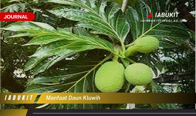 Ketahui 8 Manfaat Daun Kluwih untuk Kesehatan Tubuh Anda Ketahui 8 Manfaat Daun Kluwih untuk Kesehatan Tubuh Anda