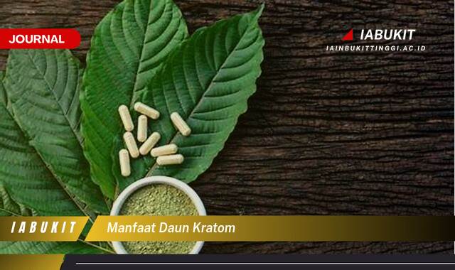 Inilah 8 Manfaat Daun Kratom untuk Meredakan Nyeri Otot dan Sendi Secara Alami Inilah 8 Manfaat Daun Kratom untuk Meredakan Nyeri Otot dan Sendi Secara Alami