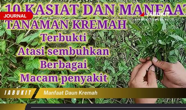 Inilah 10 Manfaat Daun Kremah untuk Kesehatan Anda yang Menakjubkan