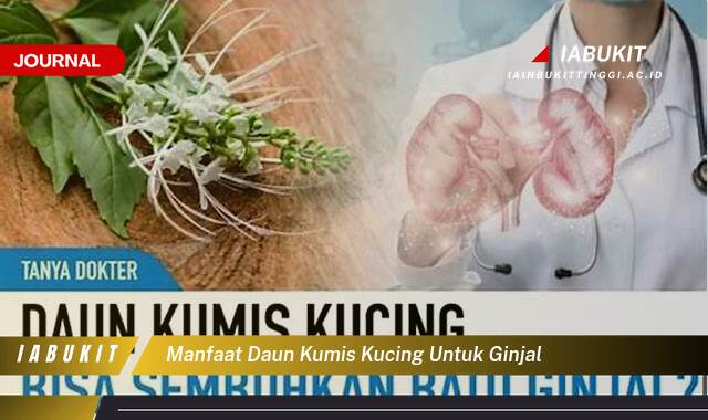 Inilah 9 Manfaat Daun Kumis Kucing untuk Ginjal, Atasi Batu Ginjal, Infeksi Saluran Kemih, dan Cegah Gagal Ginjal