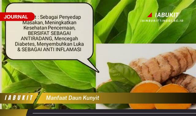 Inilah 10 Manfaat Daun Kunyit untuk Kesehatan Tubuh Anda Inilah 10 Manfaat Daun Kunyit untuk Kesehatan Tubuh Anda