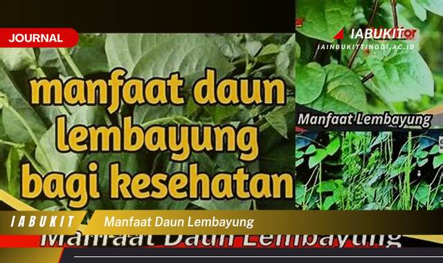 Inilah 8 Manfaat Daun Lembayung untuk Kesehatan, Dari Antioksidan Hingga Pengobatan Tradisional Inilah 8 Manfaat Daun Lembayung untuk Kesehatan, Dari Antioksidan Hingga Pengobatan Tradisional