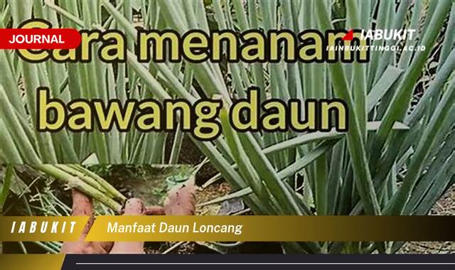 Inilah 9 Manfaat Daun Loncang, Khasiat Tersembunyi untuk Kesehatan dan Kecantikan