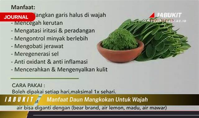 Inilah 10 Manfaat Daun Mangkokan untuk Wajah,  Tips dan Cara Menggunakannya agar Kulit Cerah dan Sehat