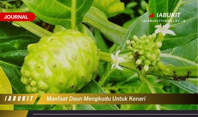 Inilah 8 Manfaat Daun Mengkudu untuk Kenari, Meningkatkan Kesehatan dan Kicauan