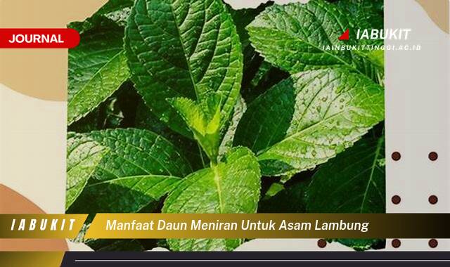 Inilah 9 Manfaat Daun Meniran untuk Asam Lambung, Meredakan Gejala dan Cara Menggunakannya