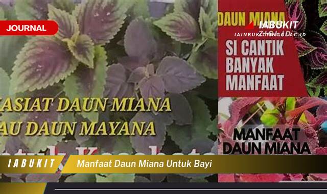 Inilah 8 Manfaat Daun Miana untuk Bayi dan Cara Menggunakannya dengan Aman