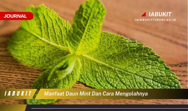 Inilah 10 Manfaat Daun Mint untuk Kesehatan dan Cara Mengolahnya dengan Mudah