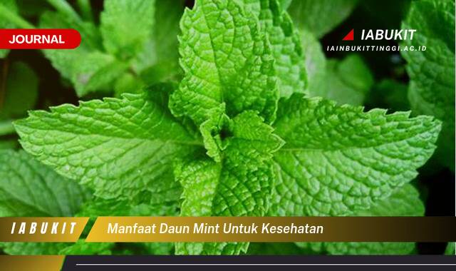 Inilah 9 Manfaat Daun Mint untuk Kesehatan, Dari Pencernaan hingga Pernapasan