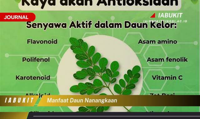 Inilah 8 Manfaat Daun Nanangkaan untuk Kesehatan dan Pengobatan Alami