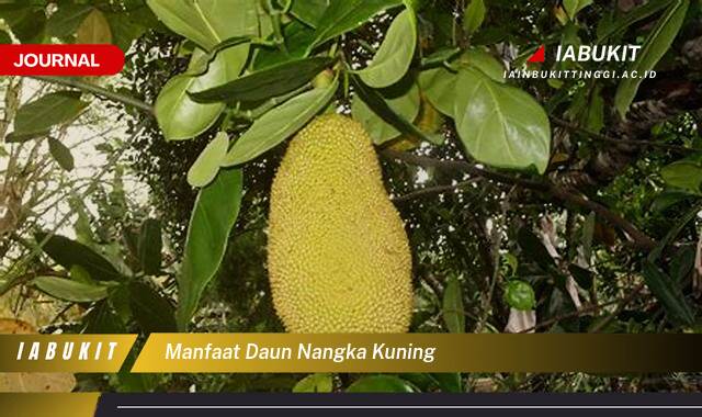 Inilah 9 Manfaat Daun Nangka Kuning untuk Kesehatan Anda yang Menakjubkan