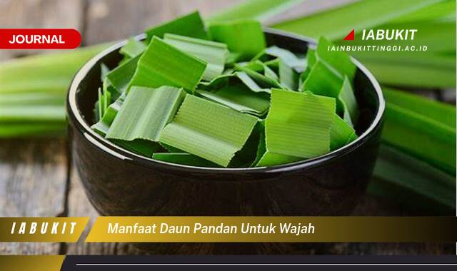 Inilah 9 Manfaat Daun Pandan untuk Wajah, Mengatasi Jerawat Hingga Mencerahkan Kulit