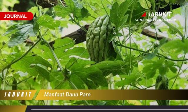 Inilah 8 Manfaat Daun Pare untuk Kesehatan Tubuh Anda Inilah 8 Manfaat Daun Pare untuk Kesehatan Tubuh Anda