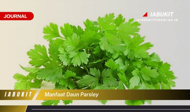 Ketahui 9 Manfaat Daun Parsley untuk Kesehatan Tubuh Anda