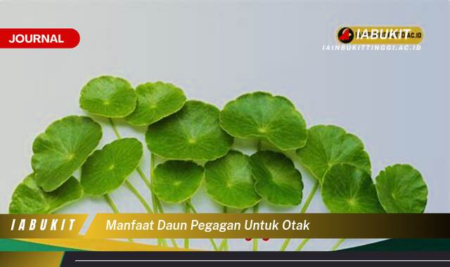 Inilah 10 Manfaat Daun Pegagan untuk Otak, Meningkatkan Daya Ingat dan Fokus Anda