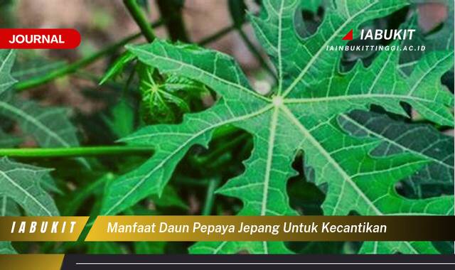 Inilah 8 Manfaat Daun Pepaya Jepang untuk Kecantikan Kulit Wajah dan Rambut Anda