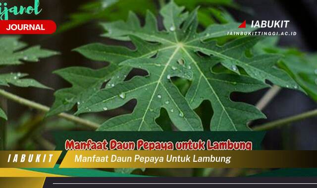 Inilah 8 Manfaat Daun Pepaya untuk Lambung, Mengatasi Maag, Meningkatkan Pencernaan, dan Solusi Lainnya