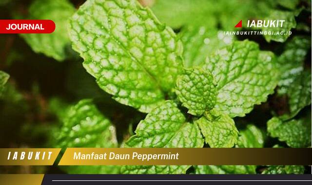 Inilah 8 Manfaat Daun Peppermint, Redakan Sakit Kepala dan Tingkatkan Pencernaan Anda!