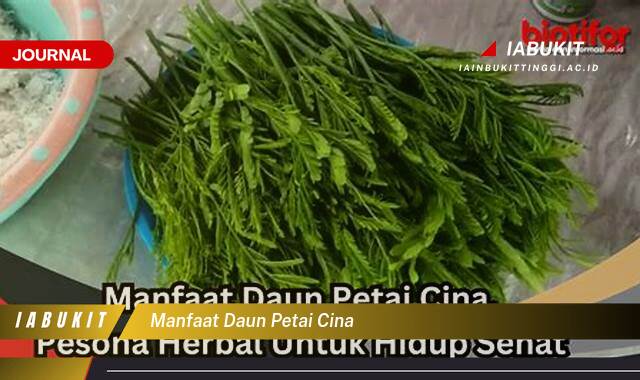 Inilah 9 Manfaat Daun Petai Cina untuk Kesehatan Anda yang Menakjubkan