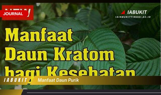 Inilah 8 Manfaat Daun Purik untuk Kesehatan Tubuh Anda