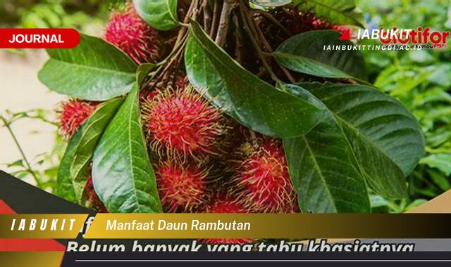 Inilah 10 Manfaat Daun Rambutan untuk Kesehatan Anda yang Menakjubkan