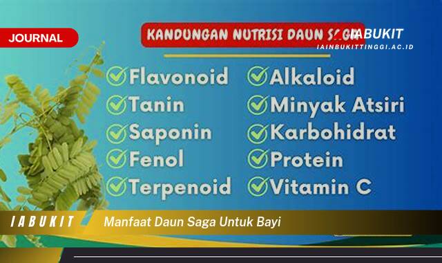 Inilah 9 Manfaat Daun Saga untuk Bayi,  Khasiat dan Cara Penggunaan yang Aman