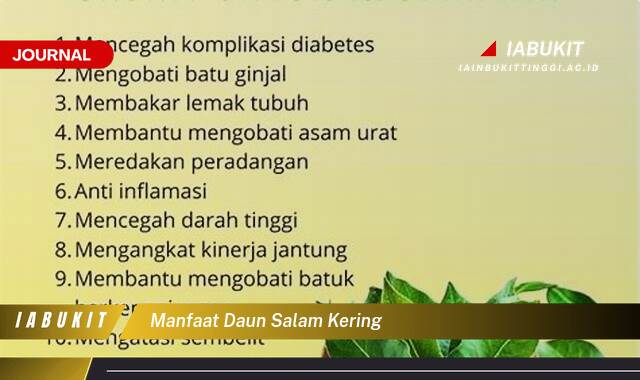 Ketahui 9 Manfaat Daun Salam Kering untuk Kesehatan Tubuh Anda