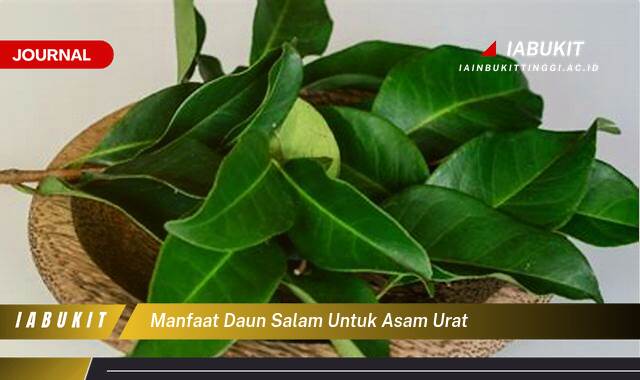 Inilah 10 Manfaat Daun Salam untuk Asam Urat, Meredakan Nyeri dan Peradangan Secara Alami