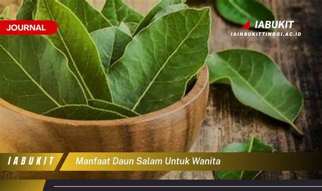 Inilah 10 Manfaat Daun Salam untuk Kesehatan Wanita, Meningkatkan Kesuburan, Mengatasi Nyeri Haid, dan Lainnya