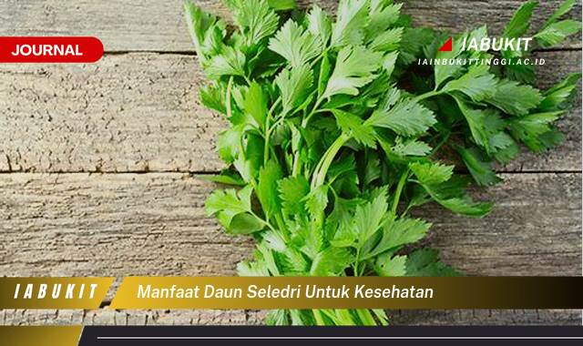 Inilah 8 Manfaat Daun Seledri untuk Kesehatan yang Perlu Anda Ketahui Inilah 8 Manfaat Daun Seledri untuk Kesehatan yang Perlu Anda Ketahui