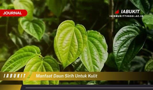Inilah 8 Manfaat Daun Sirih untuk Kulit, Rahasia Kulit Sehat Alami dan Cara Penggunaannya