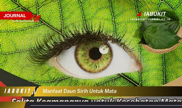 Inilah 10 Manfaat Daun Sirih untuk Mata, Mengatasi Iritasi dan Infeksi Secara Alami Inilah 10 Manfaat Daun Sirih untuk Mata, Mengatasi Iritasi dan Infeksi Secara Alami