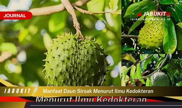 Inilah 10 Manfaat Daun Sirsak Menurut Ilmu Kedokteran, Untuk Kesehatan Tubuh Anda