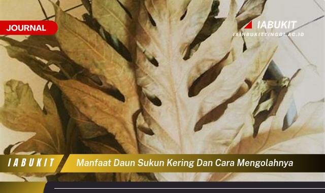 Inilah 10 Manfaat Daun Sukun Kering untuk Kesehatan dan Cara Mengolahnya dengan Mudah