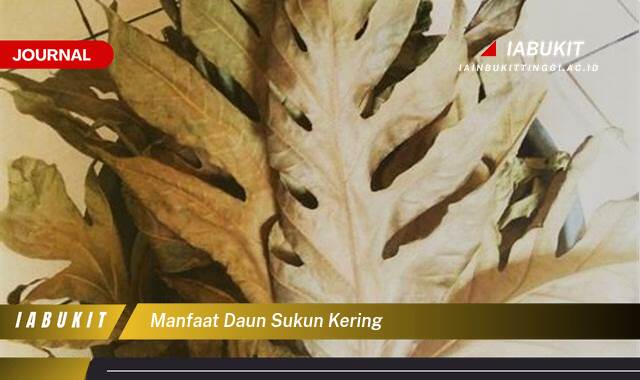 Inilah 9 Manfaat Daun Sukun Kering untuk Kesehatan Anda yang Menakjubkan Inilah 9 Manfaat Daun Sukun Kering untuk Kesehatan Anda yang Menakjubkan