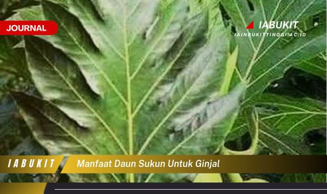 Inilah 10 Manfaat Daun Sukun untuk Ginjal,  Atasi Masalah Ginjal Secara Alami