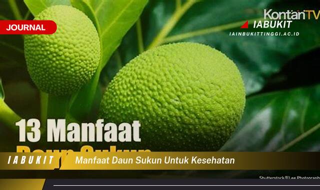 Inilah 9 Manfaat Daun Sukun untuk Kesehatan Tubuh Anda Secara Menyeluruh