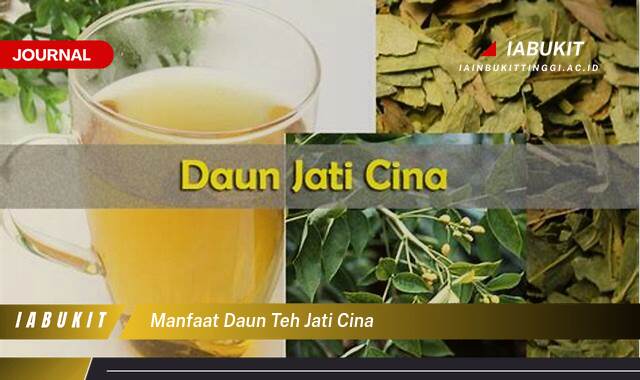 Inilah 9 Manfaat Daun Teh Jati Cina untuk Menurunkan Berat Badan Secara Alami dan Efektif