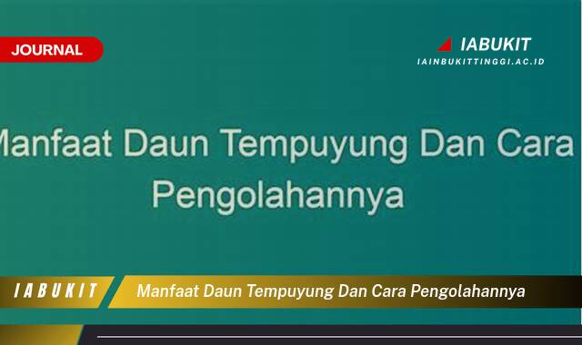 Inilah 9 Manfaat Daun Tempuyung untuk Kesehatan dan Cara Mengolahnya Secara Alami