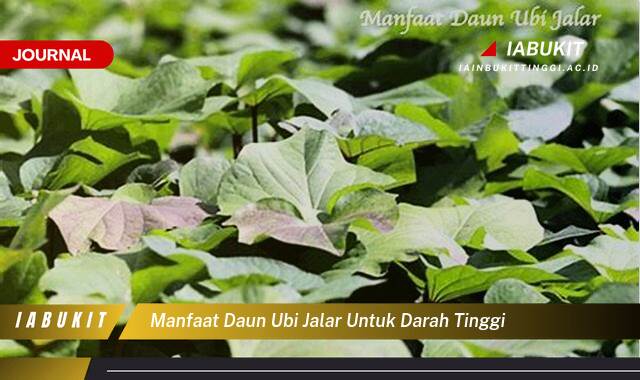 Inilah 10 Manfaat Daun Ubi Jalar untuk Menurunkan Darah Tinggi Secara Alami