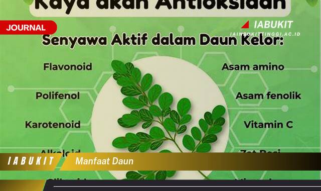 Ketahui 8 Manfaat Daun, Beragam Jenis dan Khasiatnya untuk Kesehatan Ketahui 8 Manfaat Daun, Beragam Jenis dan Khasiatnya untuk Kesehatan