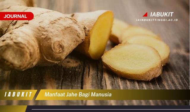 Inilah 8 Manfaat Jahe Bagi Manusia dan Cara Mengolahnya Untuk Kesehatan Optimal