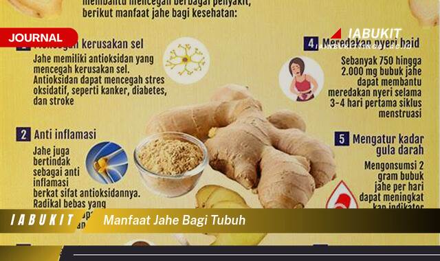 Inilah 10 Manfaat Jahe bagi Tubuh, Panduan Lengkap dari A sampai Z Inilah 10 Manfaat Jahe bagi Tubuh, Panduan Lengkap dari A sampai Z