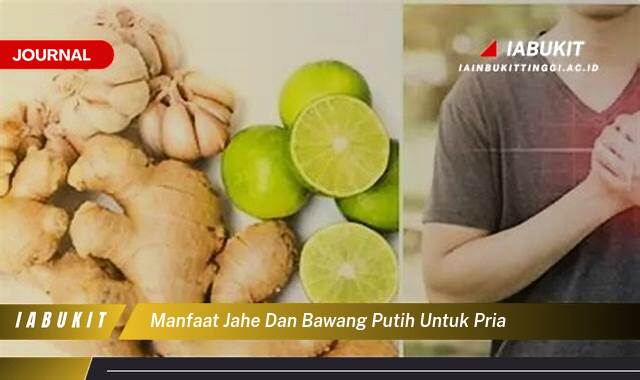 Inilah 9 Manfaat Jahe dan Bawang Putih untuk Kesehatan Pria Secara Keseluruhan Inilah 9 Manfaat Jahe dan Bawang Putih untuk Kesehatan Pria Secara Keseluruhan