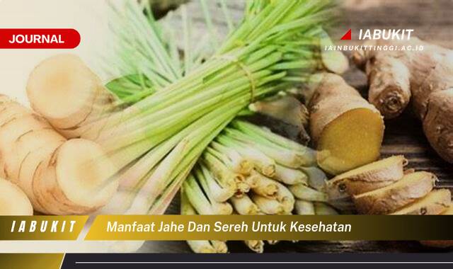 Inilah 10 Manfaat Jahe dan Sereh untuk Kesehatan, Meningkatkan Imunitas, Meredakan Nyeri, dan Lainnya