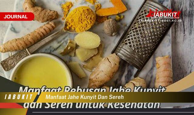 Inilah 9 Manfaat Jahe Kunyit dan Sereh untuk Kesehatan Tubuh Anda