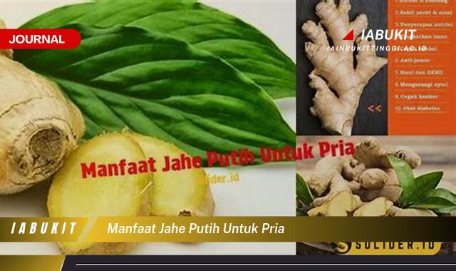 Inilah 10 Manfaat Jahe Putih untuk Pria Tingkatkan Stamina dan Kesehatan Seksual