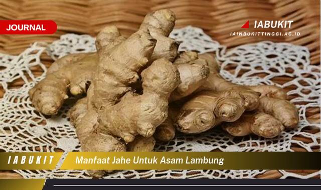 Inilah 10 Manfaat Jahe untuk Asam Lambung, Meredakan Nyeri dan Mencegah Kambuh