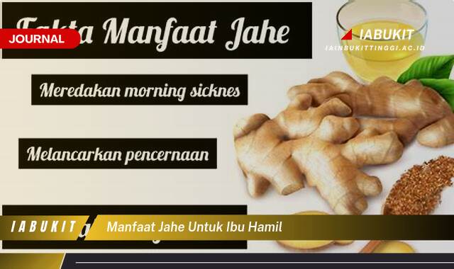 Inilah 10 Manfaat Jahe untuk Ibu Hamil, Mengatasi Mual dan Muntah di Pagi Hari Secara Alami